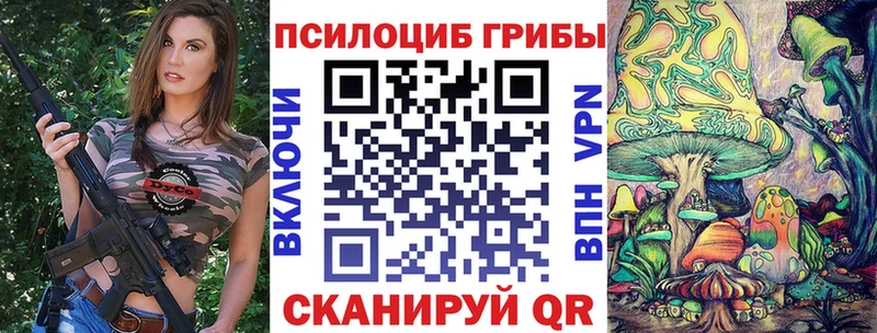 Галлюциногенные грибы прущие грибы  закладка  Зубцов 