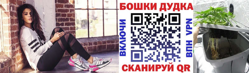 Шишки марихуана семена  Зубцов 